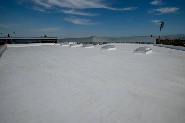 Best Gutter Installation and Repair  in Forestville, OH