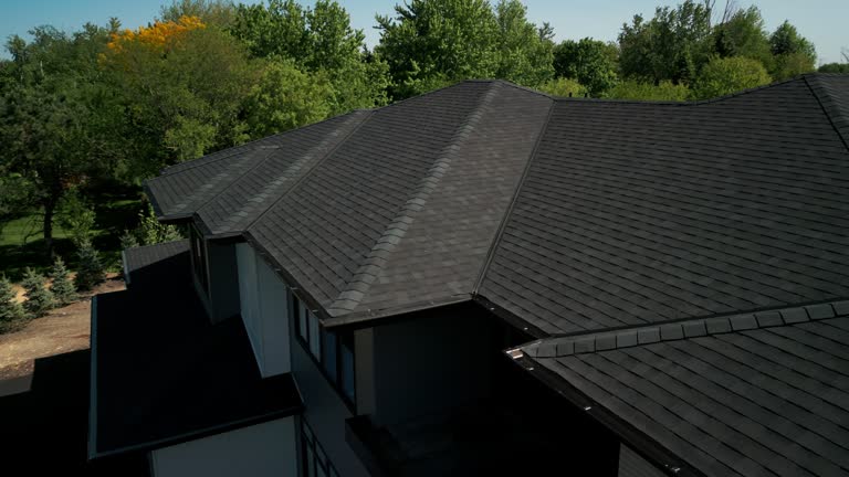 Best Commercial Roofing Services  in Forestville, OH