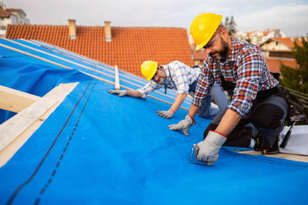 Best Chimney Flashing Repair  in Forestville, OH