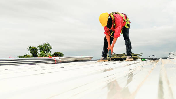 Best Green or Eco-Friendly Roofing Solutions  in Forestville, OH