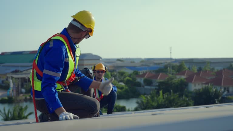 Best Hot Roofs  in Forestville, OH
