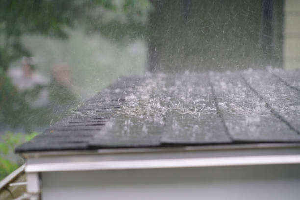 Best Skylight Installation and Repair  in Forestville, OH