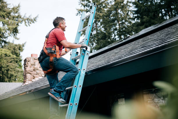 Best Steel Roofing  in Forestville, OH