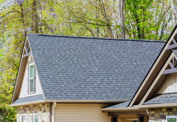 Best Sheet Metal Roofing  in Forestville, OH
