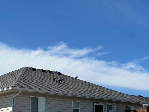 Best Roof Replacement  in Forestville, OH