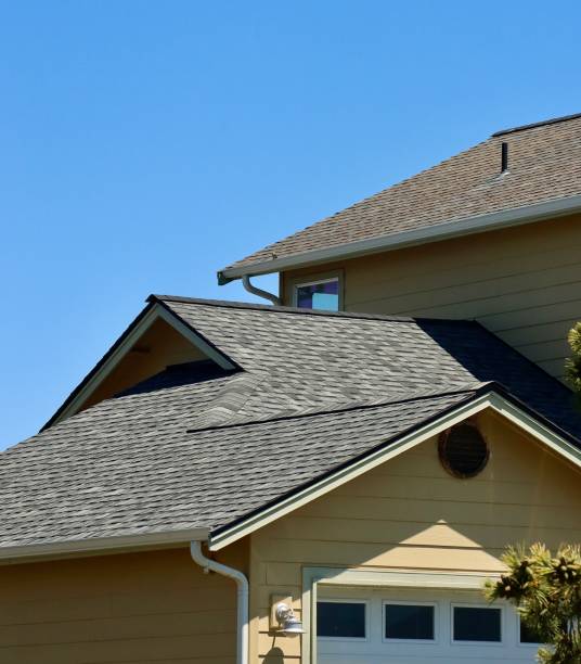 Best Roof Coating and Sealing  in Forestville, OH