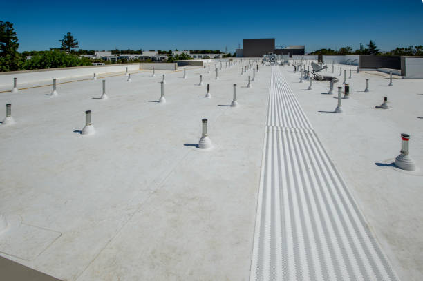 Best Roof Insulation Installation  in Forestville, OH