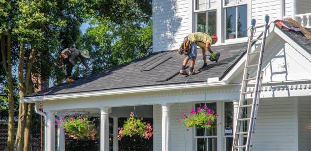 Best Metal Roofing Installation  in Forestville, OH